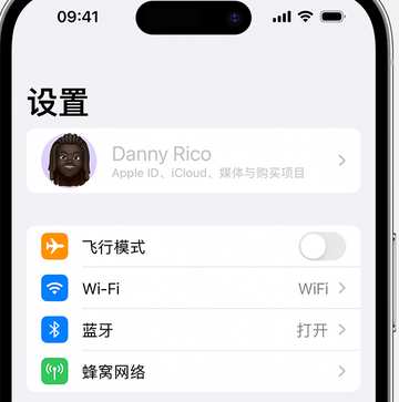 万冲镇appleID维修服务iPhone设置中Apple ID显示为灰色无法使用 