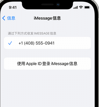 万冲镇apple维修iPhone上无法正常发送iMessage信息 