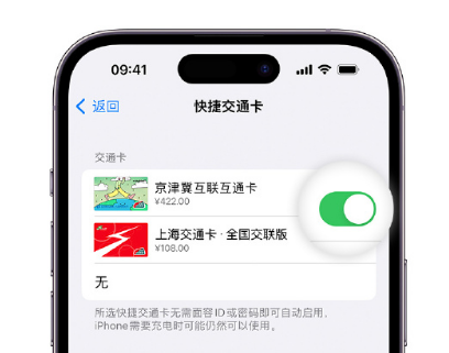 万冲镇apple维修点分享iPhone上更换Apple Pay快捷交通卡手绘卡面 