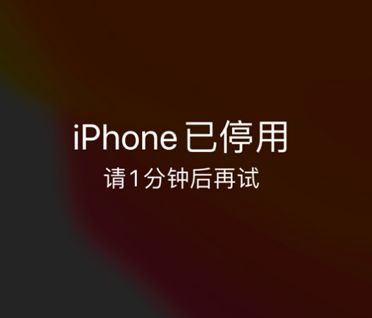 万冲镇苹果手机维修分享:iPhone 显示“不可用”或“已停用”怎么办？还能保留数据吗？ 