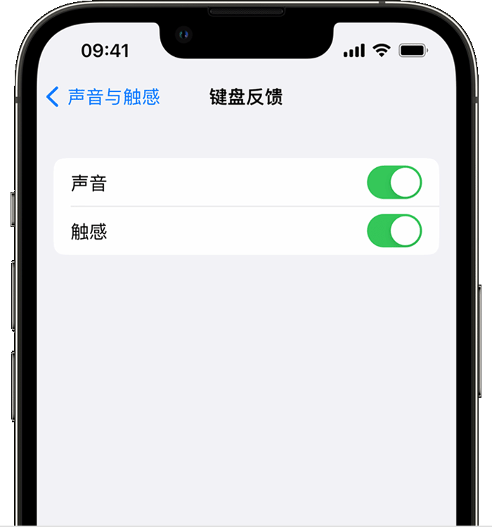 万冲镇苹果14维修店分享如何在 iPhone 14 机型中使用触感键盘 