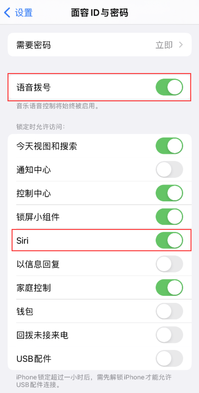 万冲镇苹果维修网点分享不解锁 iPhone 的情况下通过 Siri 拨打电话的方法 