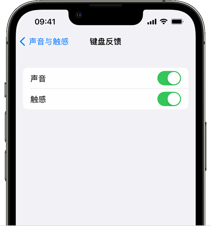 万冲镇苹果14维修分享iPhone 14 系列机型如何开启键盘声音或触感反馈 