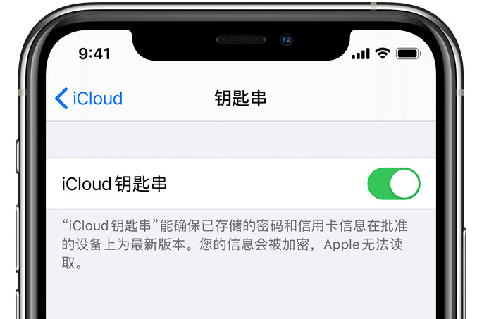 万冲镇苹果手机维修分享在 iPhone 上开启 iCloud 钥匙串之后会储存哪些信息 