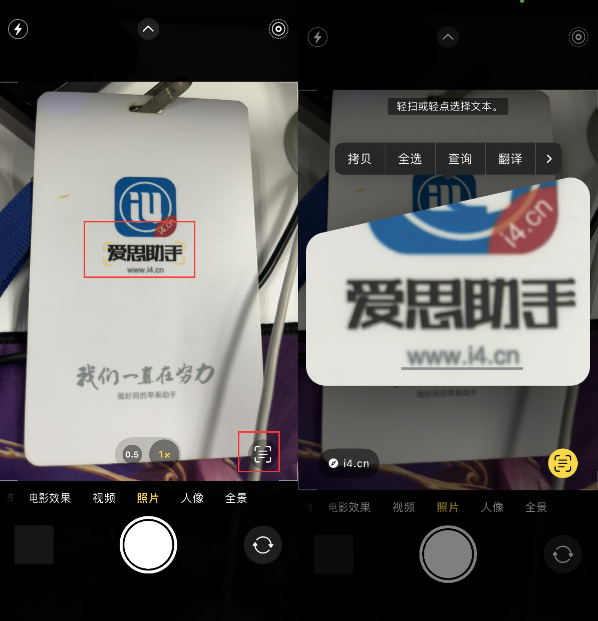 万冲镇苹果手机维修分享升级iOS 16后如何通过相机翻译文本 
