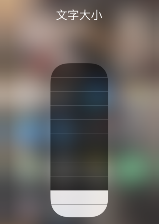 万冲镇苹果手机维修分享小技巧：在 iPhone 控制中心快速调节字体大小 