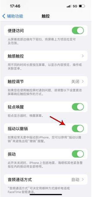 万冲镇苹果手机维修分享iPhone手机如何设置摇一摇删除文字 