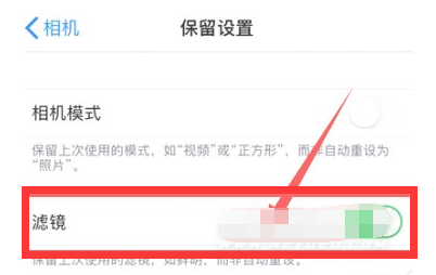 万冲镇苹果13维修分享iPhone13拍照有绿点是怎么回事 