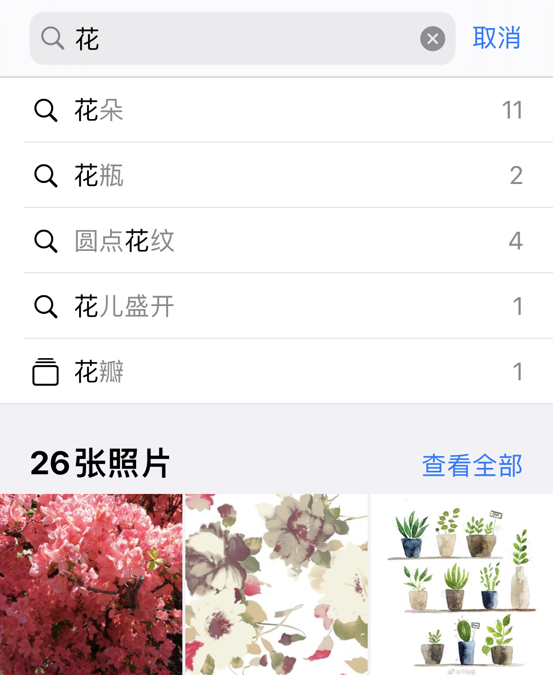 万冲镇苹果手机维修分享iPhone 小技巧 