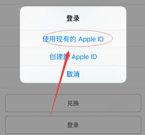 万冲镇苹果手机维修分享两台iPhone设备可以同时登录一个Apple ID吗 