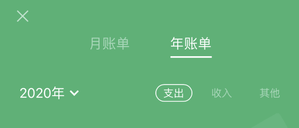 万冲镇苹果手机维修分享如何在 iPhone 上查看支付宝和微信年支出账单 