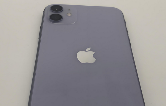 万冲镇苹果11系统维修分享iPhone11手机系统崩溃无法开机如何解决 